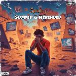 Slowed & Reverbed - Janvi Song Download